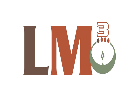 lm3-logo